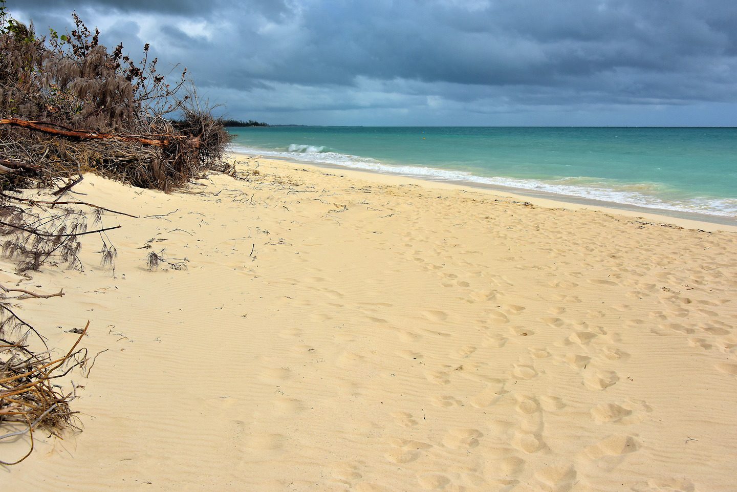 weather in the bahamas freeport