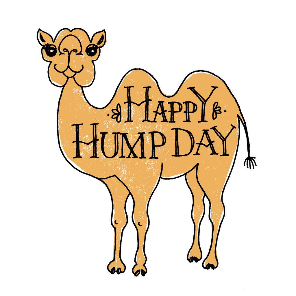 wednesday hump day clip art