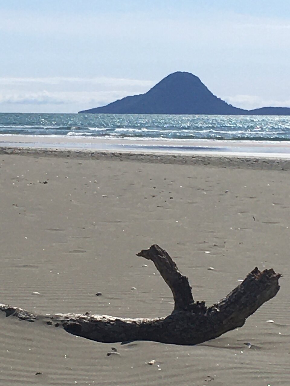 whakaari beach