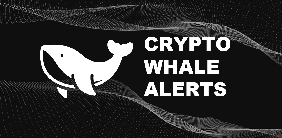 whale alerts