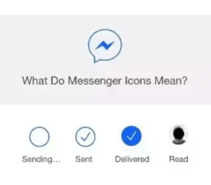 what does messenger check mark mean