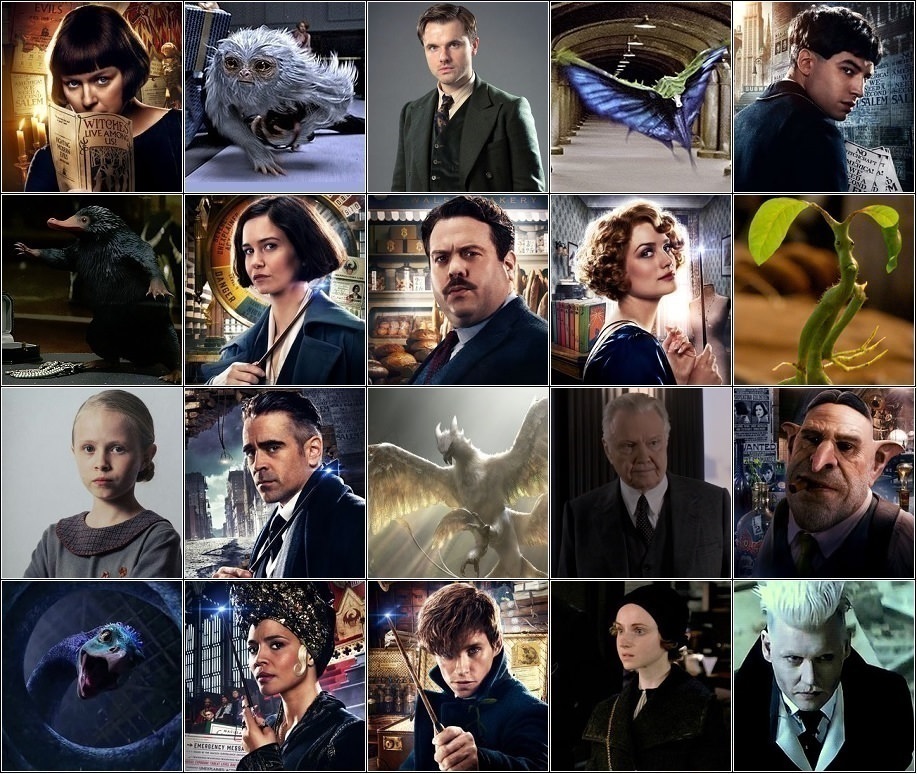 what fantastic beast character are you quiz