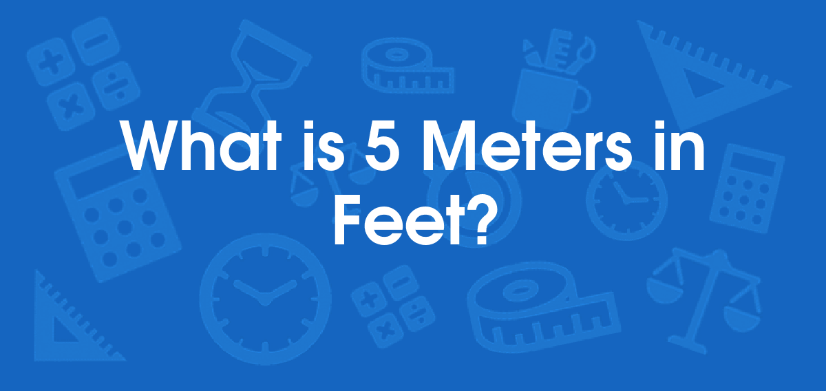 what is five meters in feet