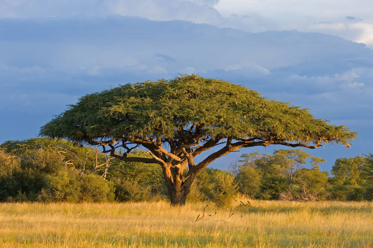 zimbabwe harare weather